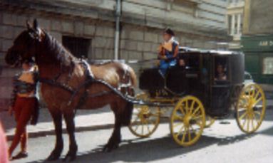 Locaiton de calèche, tournage d'un film, mariage